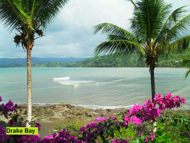 Drake Bay 1 || Costa Rica Beaches