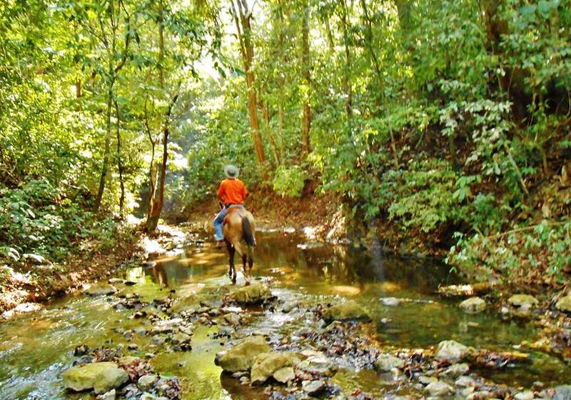 Horse riding in river ||Blue Osa Travels