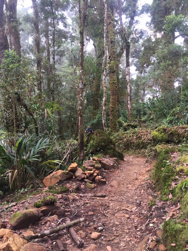 Inside the Mind of a Mountain: Hiking Cerro Chirripo – a mindfulness ...